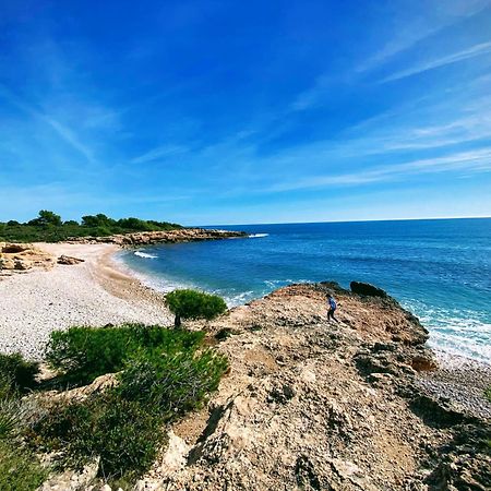 Precioso Atico En La Sierra De Irta Διαμέρισμα Alcossebre Εξωτερικό φωτογραφία