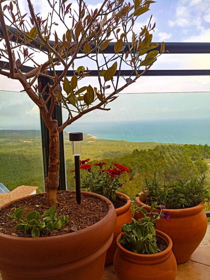 Precioso Atico En La Sierra De Irta Διαμέρισμα Alcossebre Εξωτερικό φωτογραφία