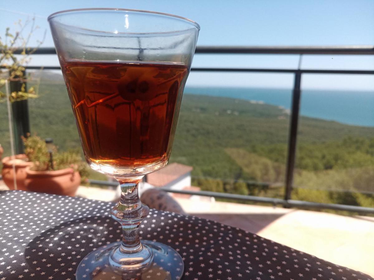 Precioso Atico En La Sierra De Irta Διαμέρισμα Alcossebre Εξωτερικό φωτογραφία